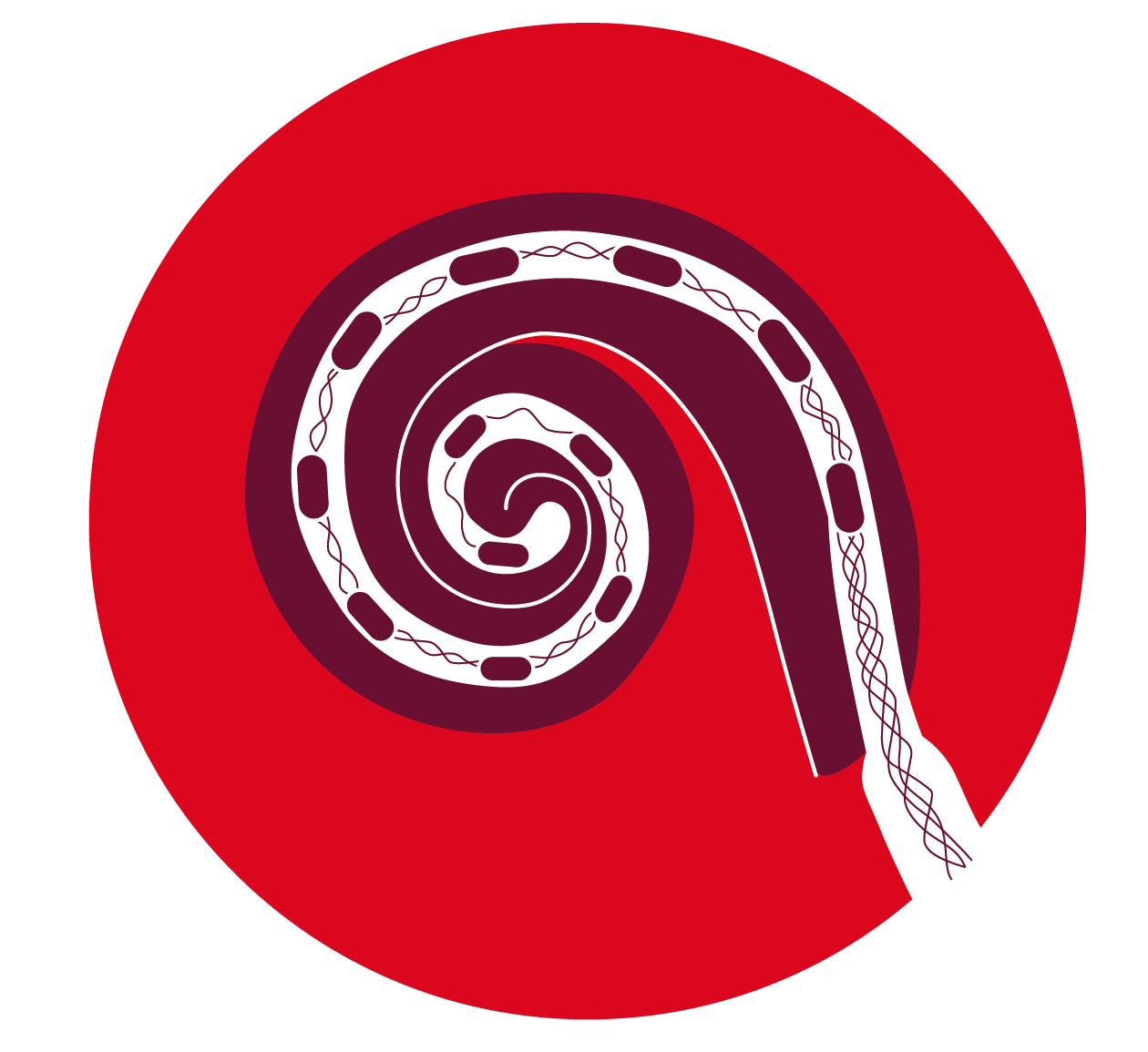 2_USP_Komplette Abdeckung der Cochlea