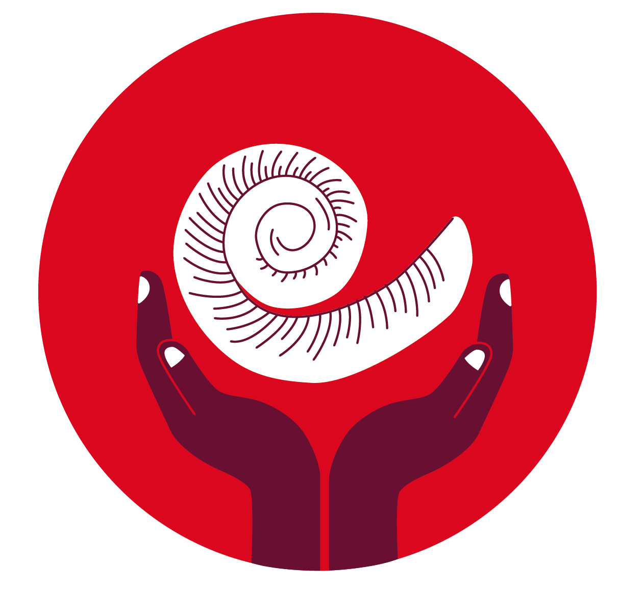 3_USP_Strukturerhalt der Cochlea